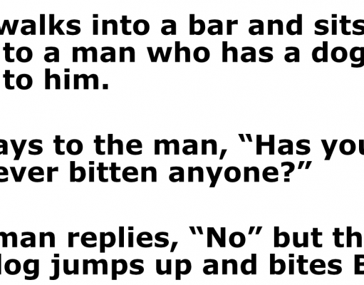 Bob walks into a bar and see a Dog.