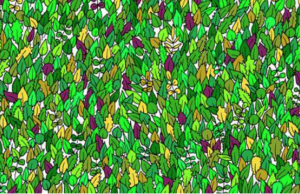Can YOU spot the frog among the leaves?