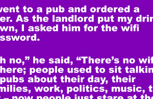 I went to a pub and ordered a beer