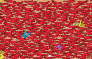 Can you spot the four crabs in this mind bending optical illusion?
