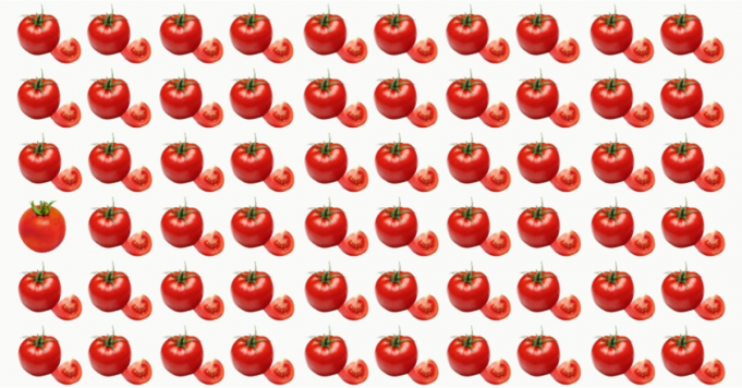 Keep your mind busy and active by taking this test!