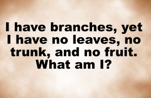 Funny riddle: Only genius can solve this