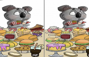 Only genius can find all the differences in this pic!