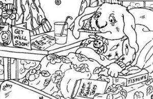 Find Bird, Snail, Duck, Penguin and Ladybug.