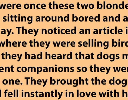 Two Blondes and a Dog.