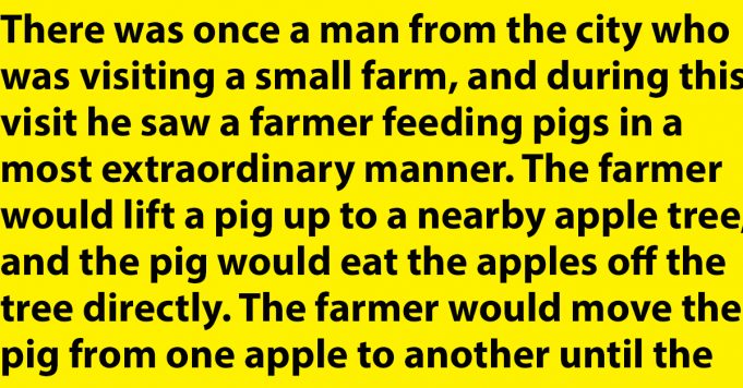 A farmer feeding pigs in a most extraordinary manner.