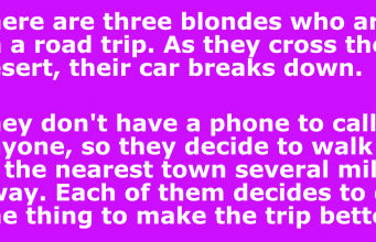 Three blondes were driving through the desert