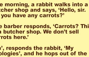 A Rabbit Walks Into A Butcher Shop.