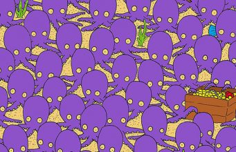 Find the fish hidden among the octopuses in less than 15 seconds