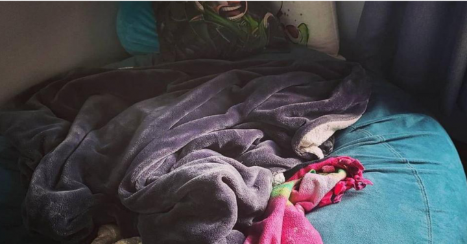 Can you find the dog hidden in this brainteaser?