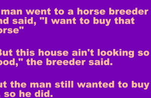 A man went to a horse breeder