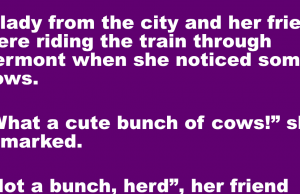 Two women were traveling through Vermont