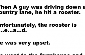 A guy was driving down a country lane