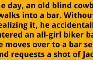 An old blind cowboy walks into a bar