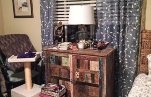 Most people fail – but can you find the cat hiding in this picture?