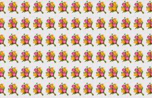 Only People With Almost Perfect Vision Can Spot The Odd One