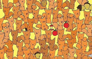 Can YOU spot a mouse hiding in a field full of squirrels in less than 15 seconds?