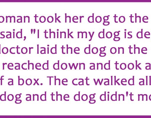A woman took her dog to the vet.