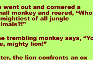 A lion woke up one morning feeling really rowdy and mean.