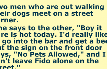 Two men who are out walking their dogs meet on a street corner.