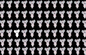 Can you find the odd Koala in less than 30 seconds?