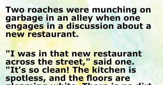 Two roaches having a discussion