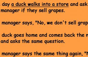 A Duck Walks Into A Store One Day