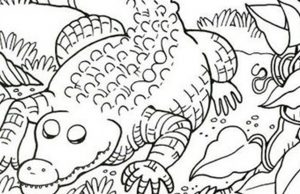 Find Sailing Boat, Shoe, Spectacles, Artist’s Brush and Saw.