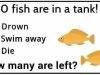 Can You Solve This Fish Math Riddle In Less Than 2 minutes?