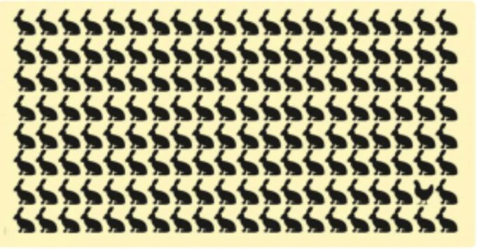 How Fast Can You Spot The Chicken Hidden Among these Bunnies In This Picture?