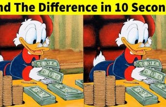 90% Of Viewers Couldn’t Find The Difference Between These Images! But Do You?