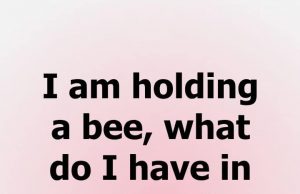I am holding a bee, what do I have in my eye? – Riddles and Answers