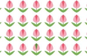 Can you spot the odd tulip in this picture?