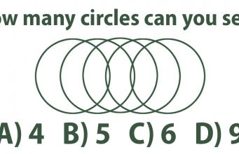 Most people answer this test incorrectly – but how many circles are there?