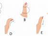 The Shape Of Your Thumb Can Reveal A Lot About Your Personality!