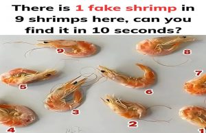 Can You Spot the Fake Shrimp in 10 Seconds?
