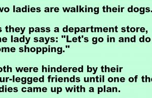 An old, tired-looking dog wandered into a man’s yard.