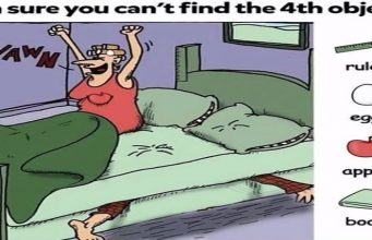 Find Ruler, Egg, Apple, Book.