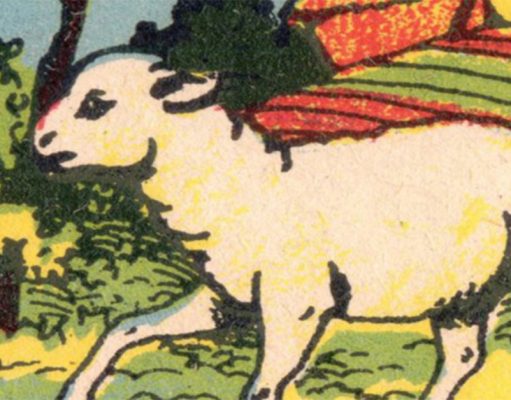 Only people with sharp observation eyes can recognize where the shepherd is in 10 seconds.