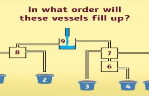 What Sequence Will These Vessels Follow As They Fill?