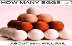 How many eggs can you see?