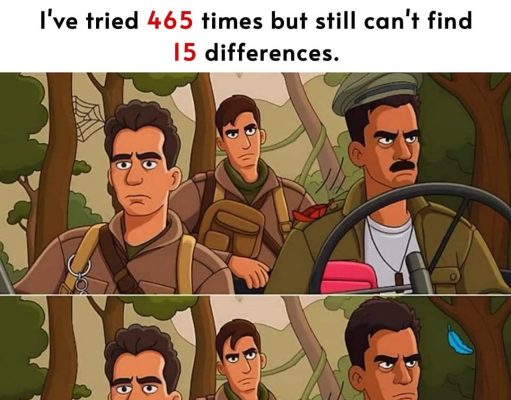 Test: Only a person with a high IQ can find the 15 differences