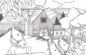 Find Dolphin, Mushroom, Sailboat, Heart, Lollipop, Hat and Paintbrush