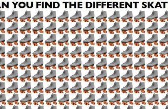Can You Find The Different Skate?