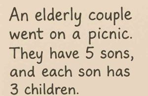 In total, how many people went on a picnic?