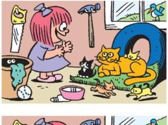 Kittens: Find 6 Differences.